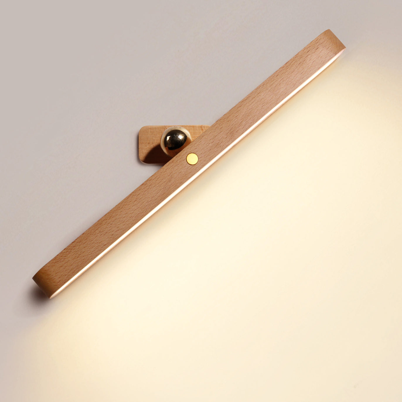 Smart Touch Swivel Light